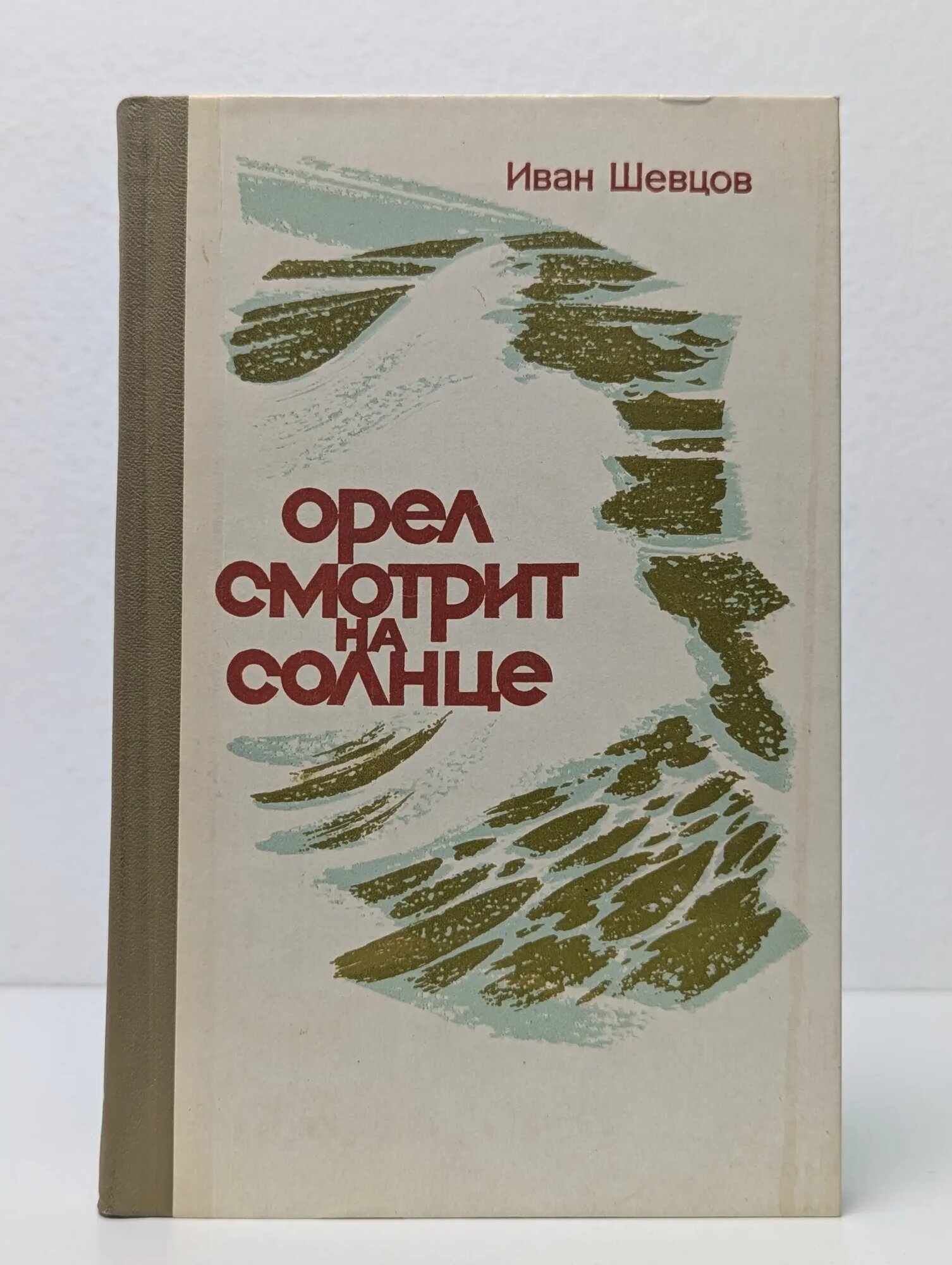 Орел смотрит на солнце Шевцов Иван Михайлович 1976