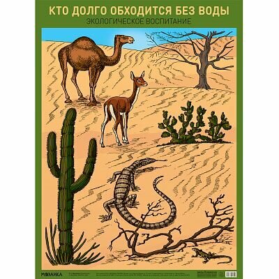 Плакат. Кто долго обходится без воды (А2) Мозаика-Синтез