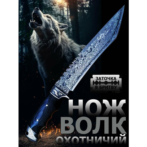 Охотничий нож Волк, туристический, разделочный, с лезвием танто