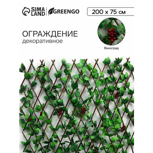 фото Ограждение декоративное, 200 × 75 см, «виноград», greengo