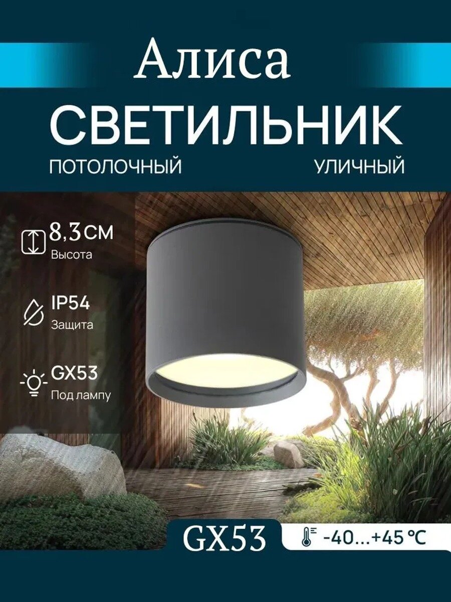 Уличный светильник, потолочный, IP54, 1 лампа, 15 Вт, 230 В, темно-серый