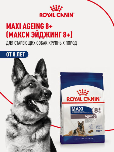 Изображение товара Сухой корм для собак пожилых Royal Canin Maxi Ageing 8+ для крупных пород, 15 кг