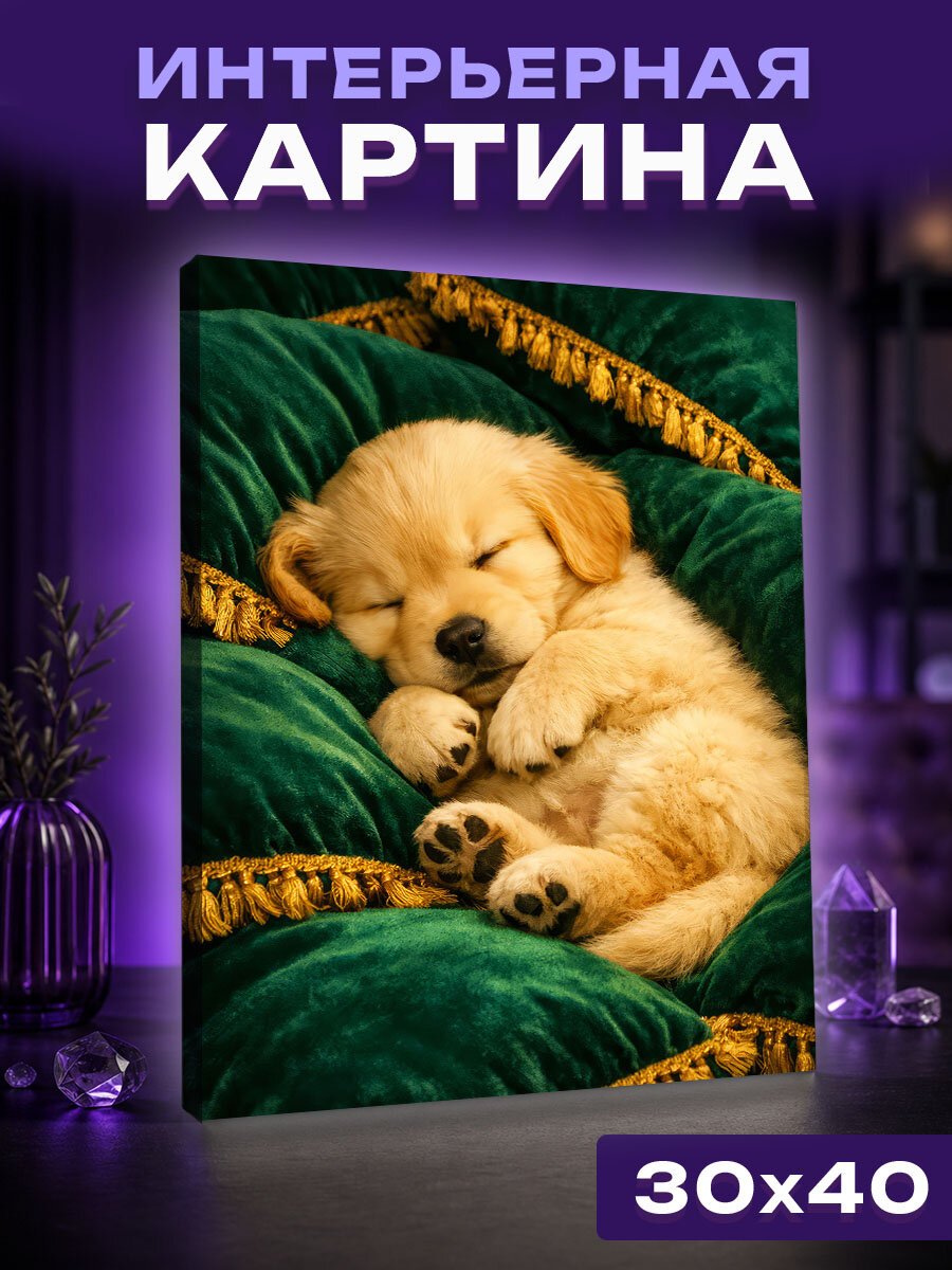 Интерьерная картина щенок ретривера на бархатных подушках
