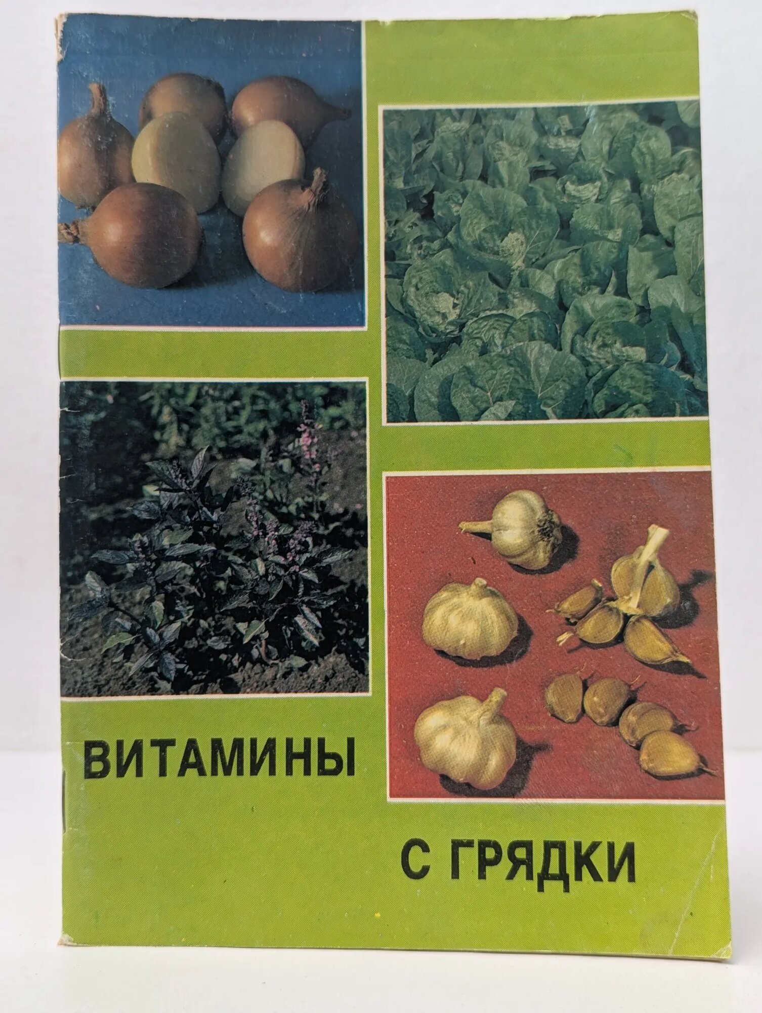 Витамины с грядки Пантиелев Яков Хацкелевич 1990