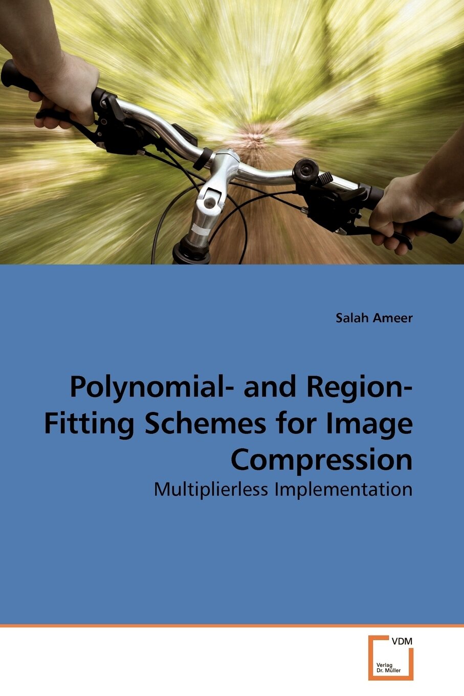 Polynomial- and Region-Fitting Schemes for Image Compression — фото 1