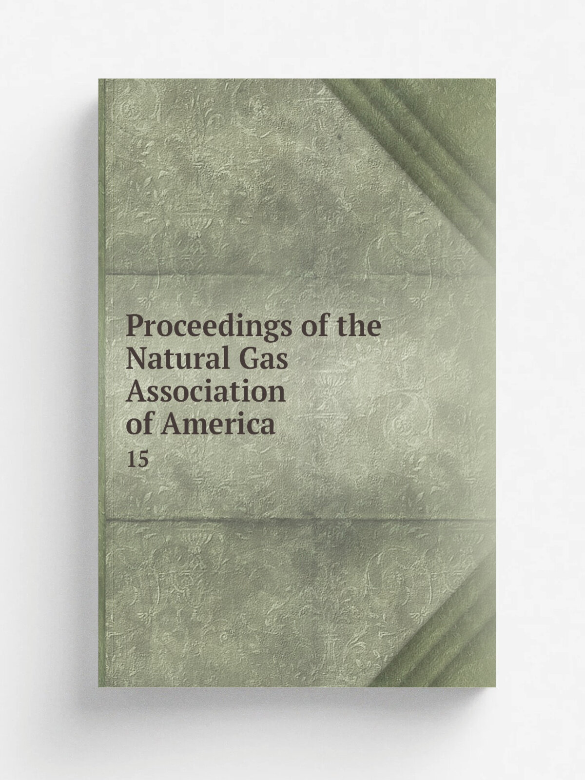 Proceedings of the Natural Gas Association of America. 15 | 1921 | The Association | Репринт