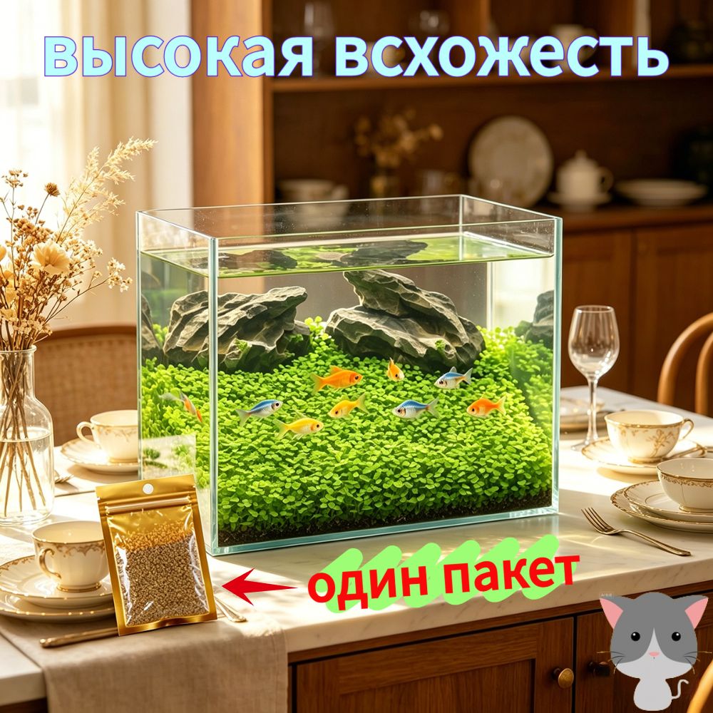 Семена водных растений для аквариума с грунтом