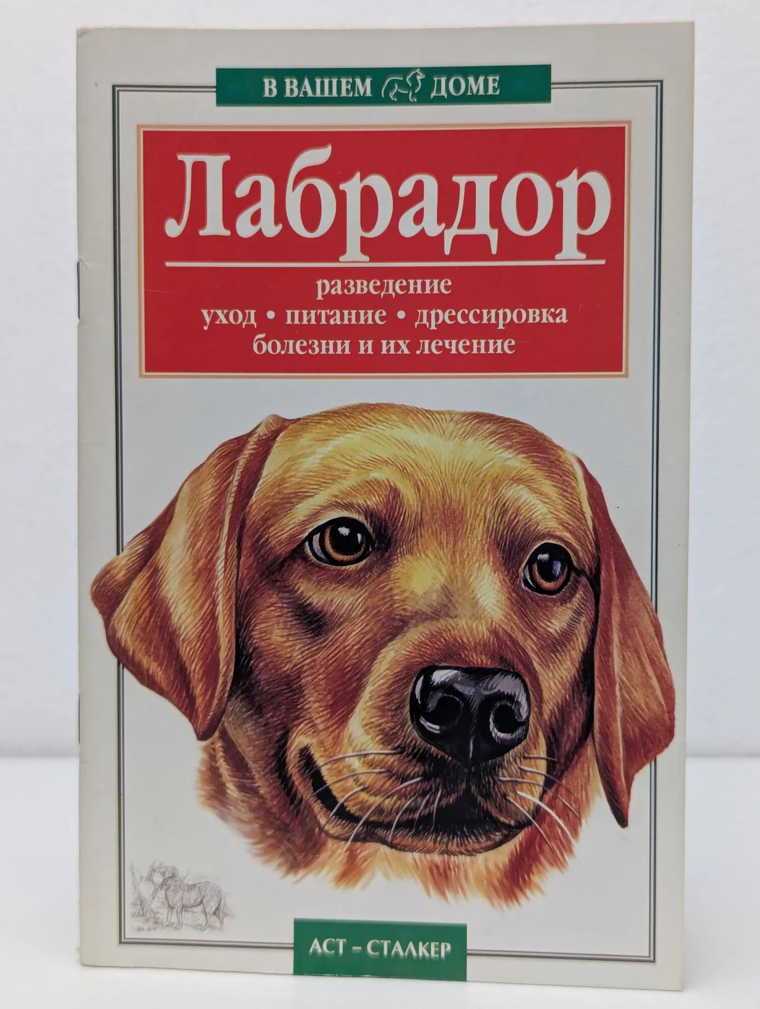 В вашем доме. Лабрадор. Разведение, уход, питание, дрессировка, болезни и их лечение Сборник 2005