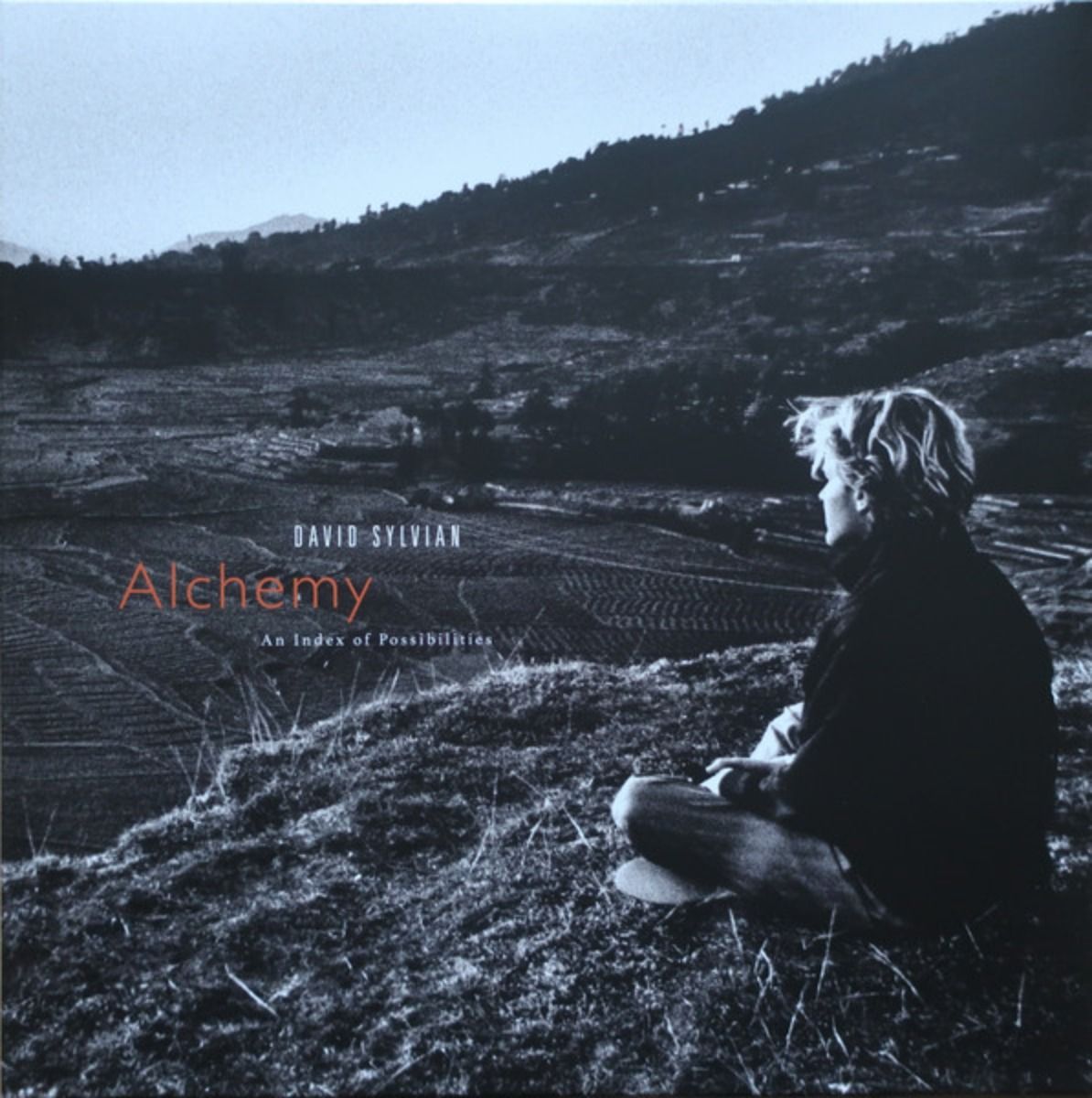 Виниловая Пластинка David Sylvian - Alchemy An Index Of Possibilities /> Vinyl, LP, Album