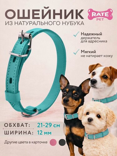Изображение товара Ошейник для собак кожаный Rate Pet, обхват шеи 21-29 см, ширина 1.2 см, натуральная кожа (нубук), бирюзовый