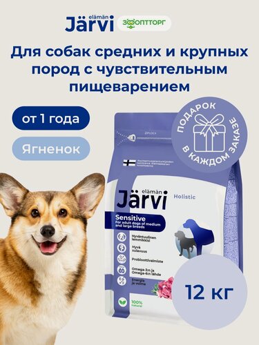Изображение товара Сухой корм Jarvi полнорационный для взрослых собак средних и крупных пород с чувствительным пищеварением с ягненком, 12 кг