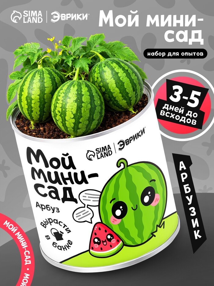 Набор для опытов эврики «Мой мини-сад», арбуз