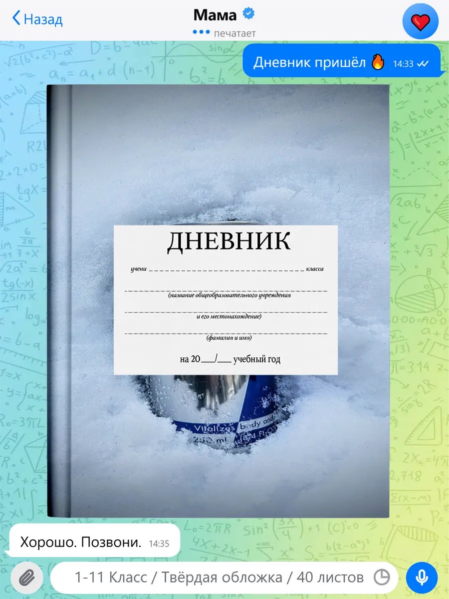 Школьный дневник с принтом Роблокс