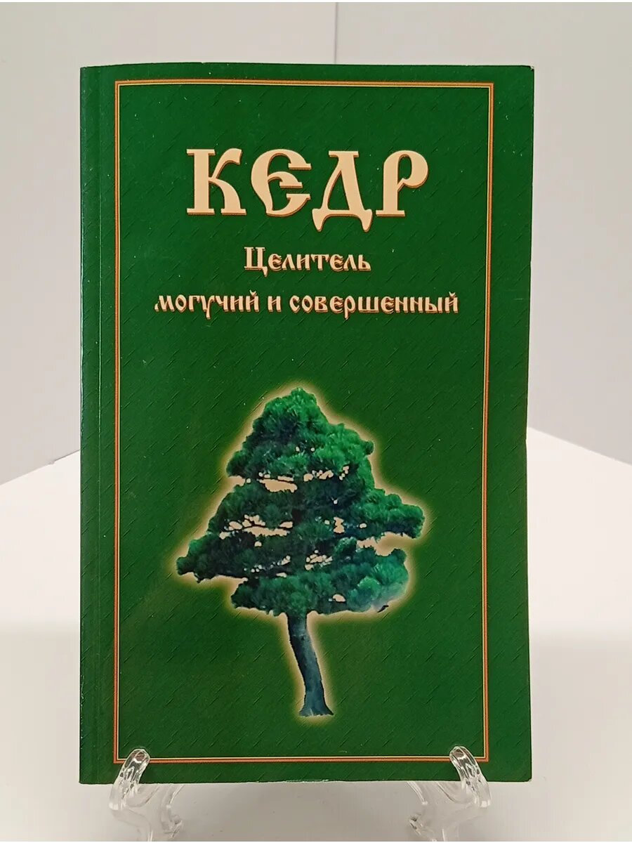 Кедр. Целитель могучий и совершенный