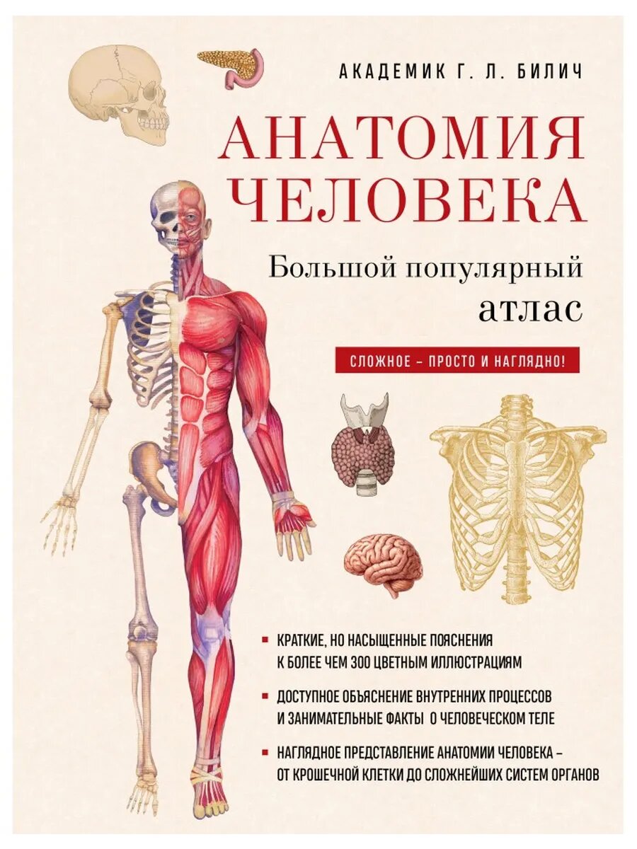 Анатомия человека: большой популярный атлас