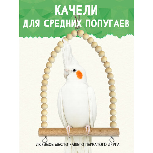 фото Качели для средних попугаев, корелла