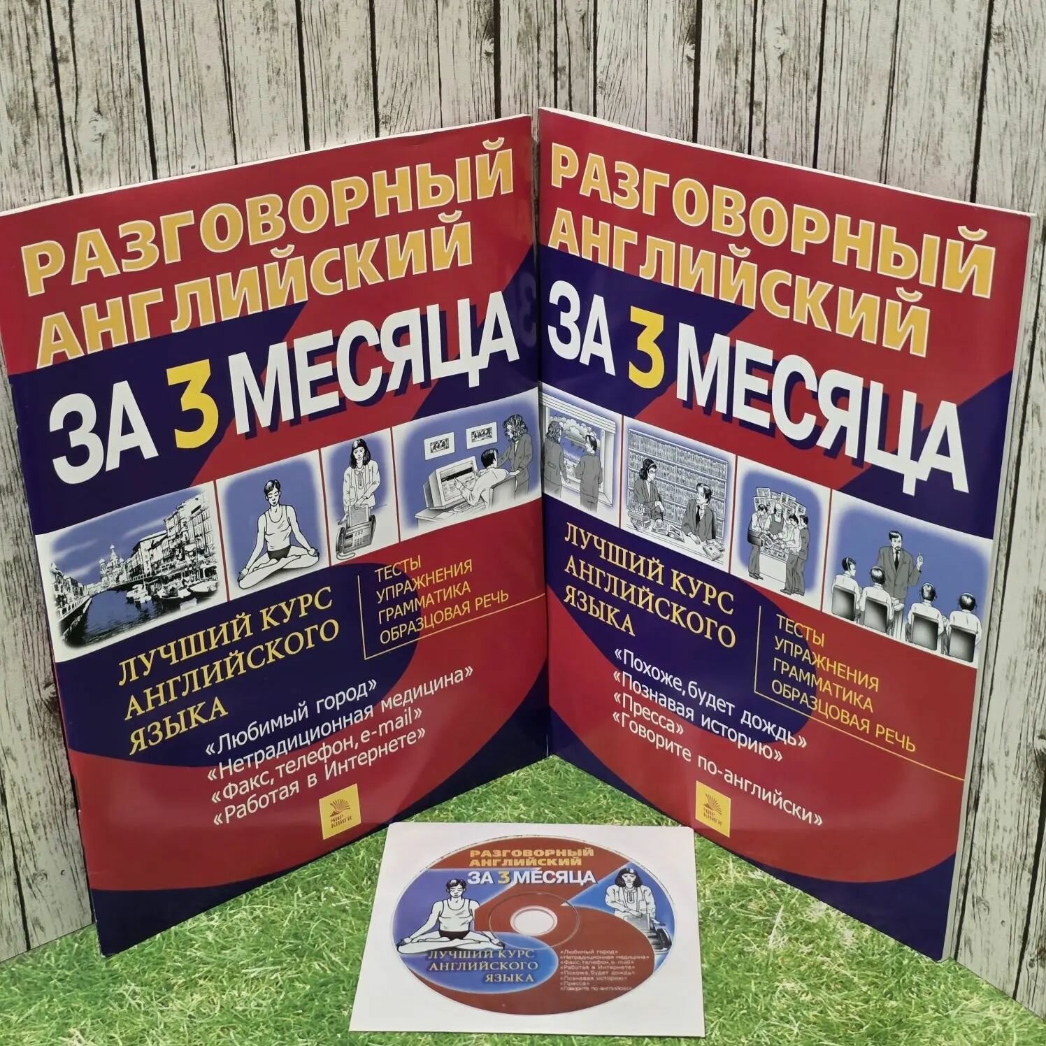 Разговорный английский за 3 месяц. Любимый город, Похоже, будет дождь (с диском)