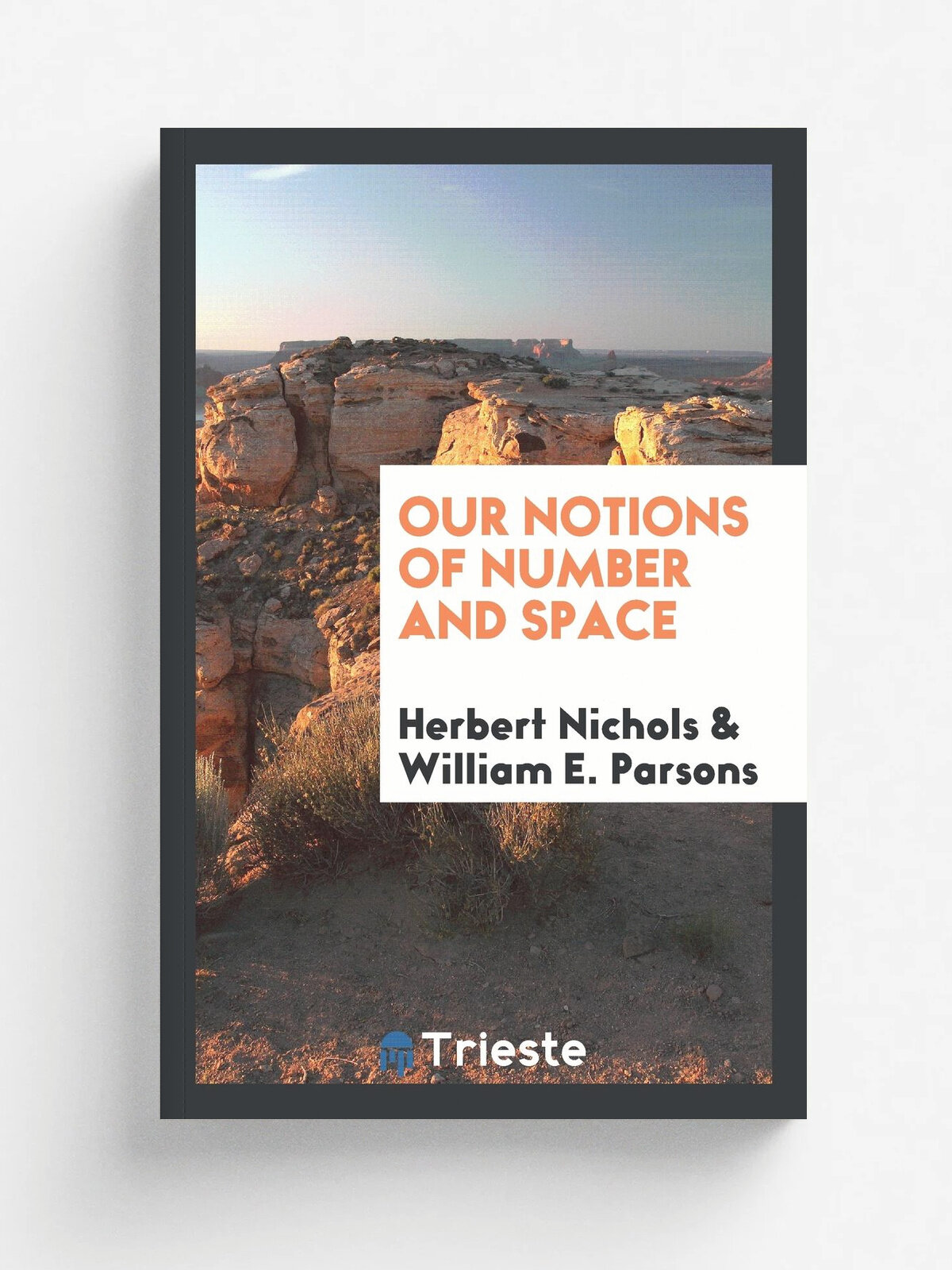 Our Notions of Number and Space
