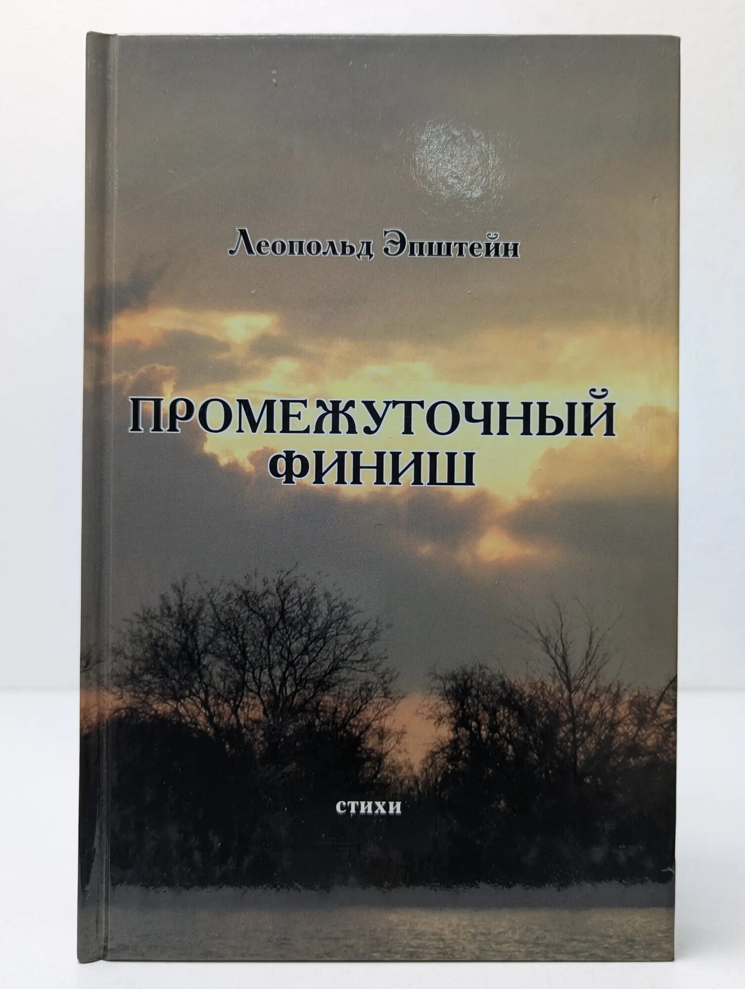 Промежуточный финиш Эпштейн Леопольд 2009