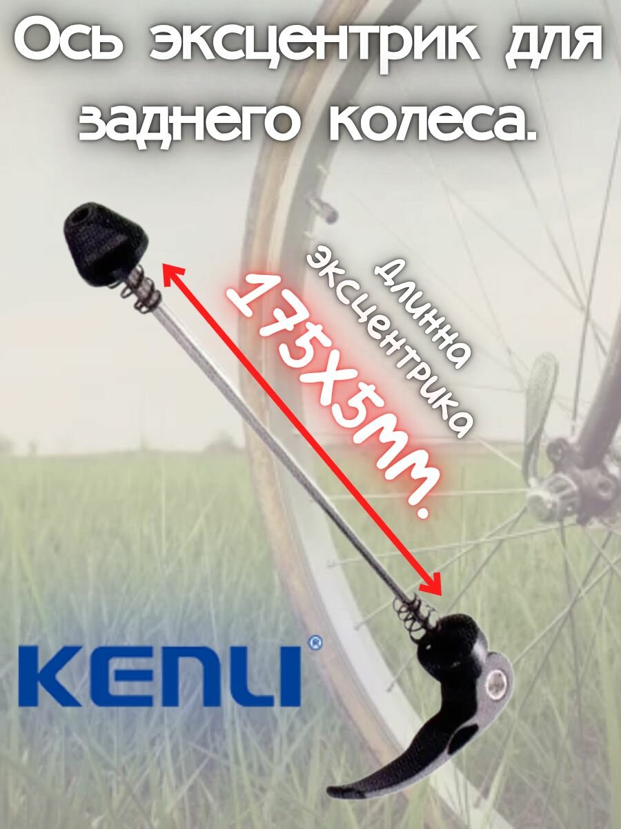 Ось эксцентрик для заднего колеса.