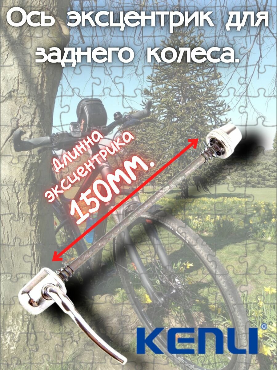 Ось эксцентрик для заднего колеса.