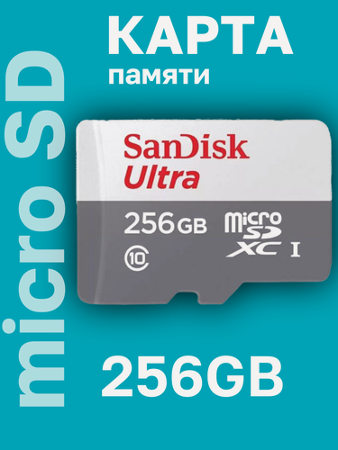 Изображение товара Карта памяти SanDisk Ultra micro SDXC 256GB Class 10 UHS-I (100/10 MB/s)