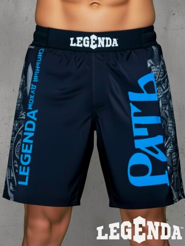 Изображение товара Шорты спортивные