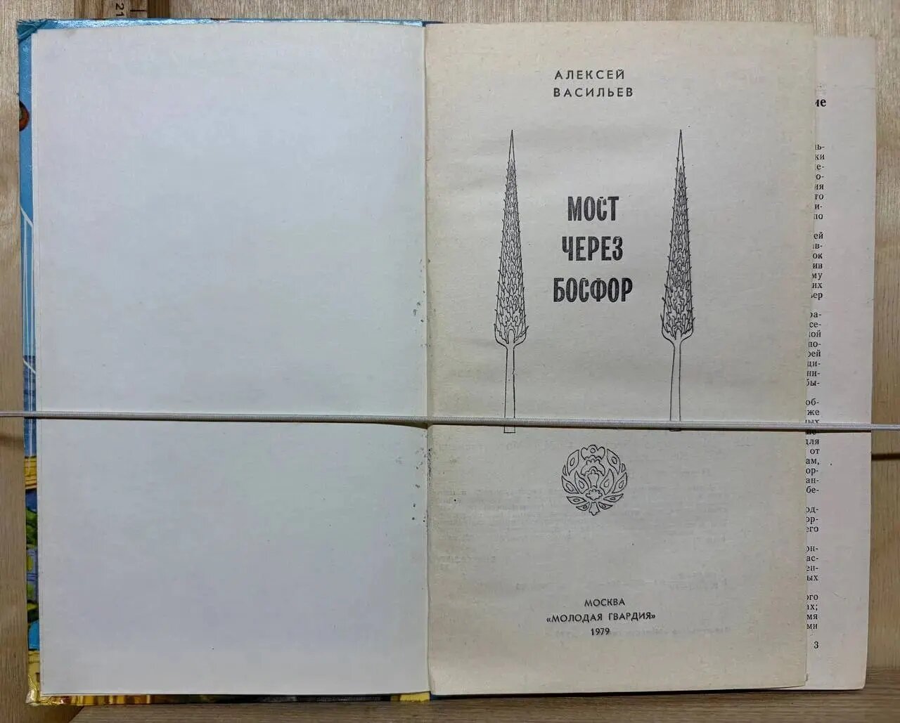 Мост через Босфор — фото 1