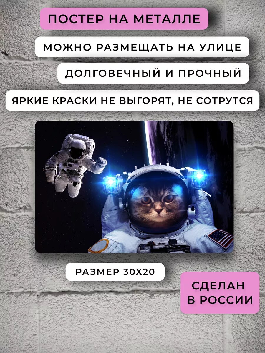 Подарок другу постер котик — фото 1