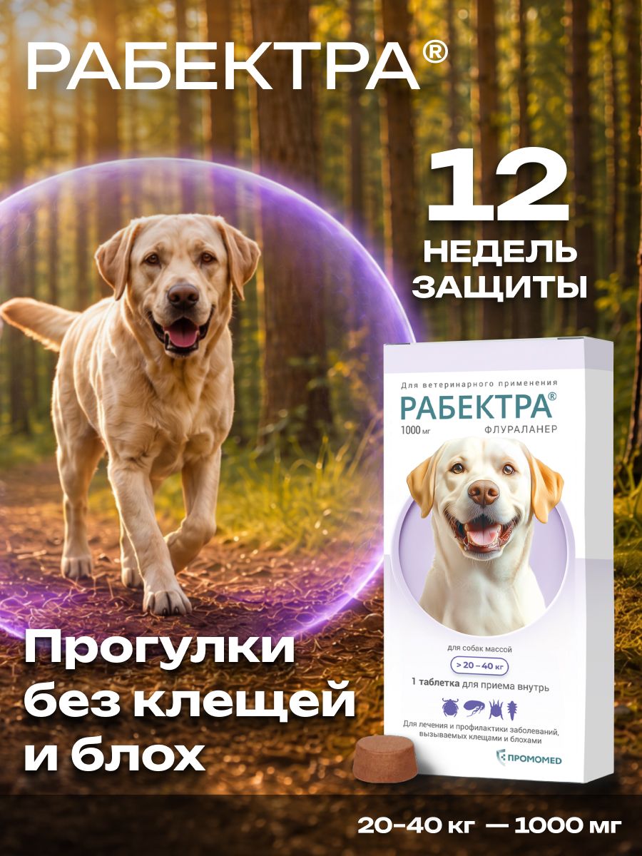 От блох Рабектра для собак 1000 мг таблетка на 20-40 кг