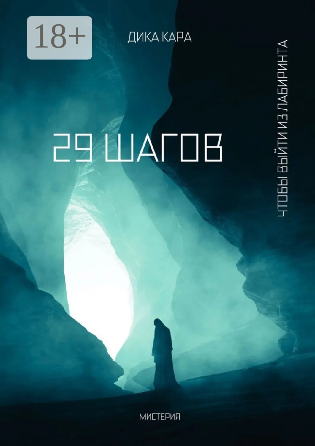 29 шагов. Чтобы выйти из Лабиринта [Цифровая книга]
