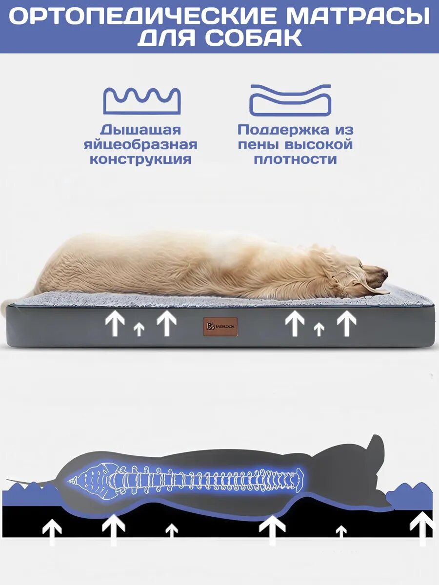 Лежанка для собак, 75х50х7,5см — фото 1