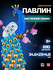 Конструктор "Павлин настенное панно" Mould King, 690 элементов
