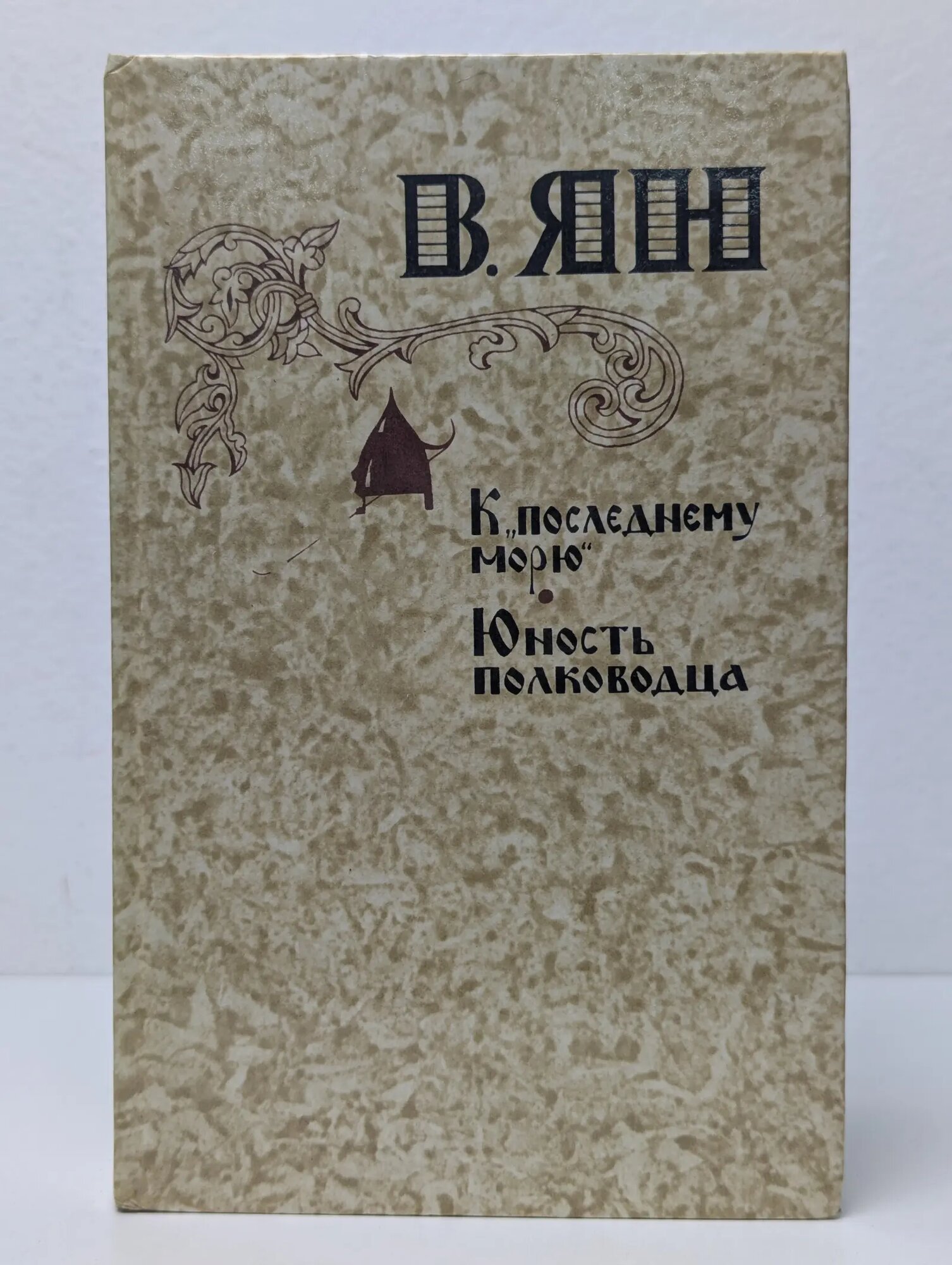 К последнему морю. Юность полководца Ян Василий Григорьевич 1981
