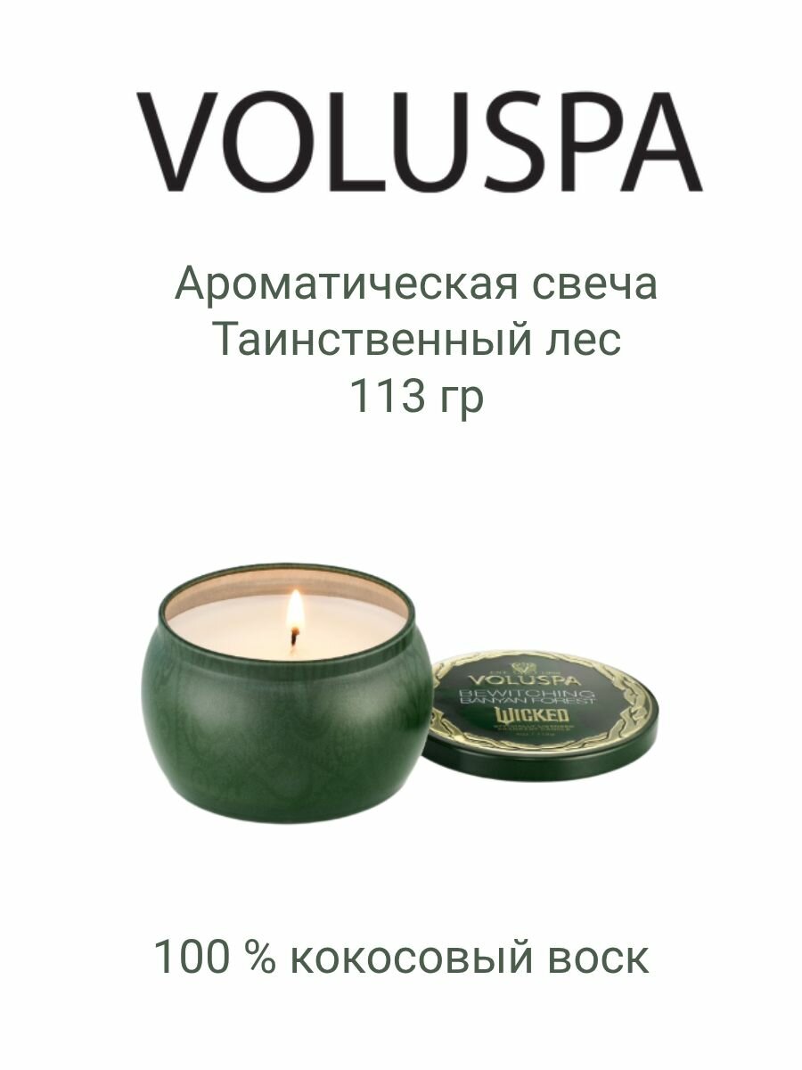 Ароматическая свеча VOLUSPA Таинственный лес (Bewitching Banyan Forest) 113 гр