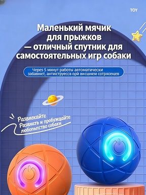 Эксклюзивная забава для питомцев