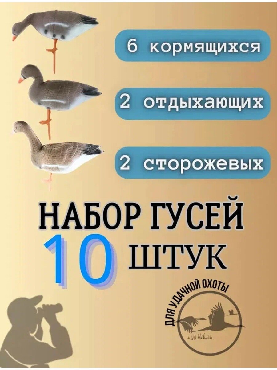 Чучело набор гусей 10 шт: 6 кормящихся, 2 сторожа, 2 отдыхающих, разноцветный