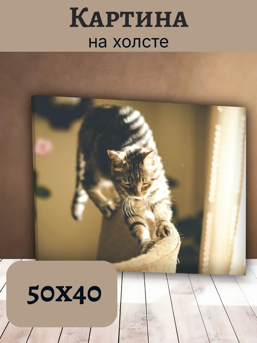 Картина Кот Кошка Cat 40x50 интерьерная с полосатым котом