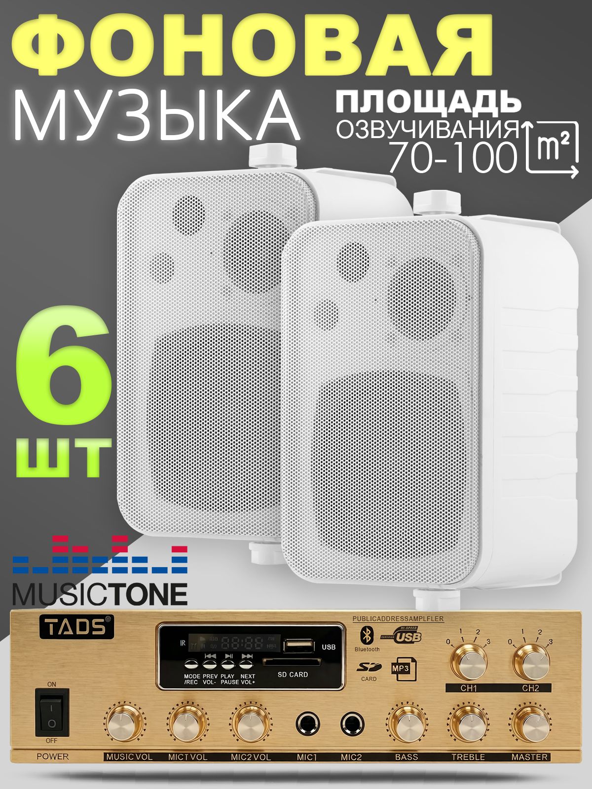 Акустика для кафе MusicTone MT03W-6