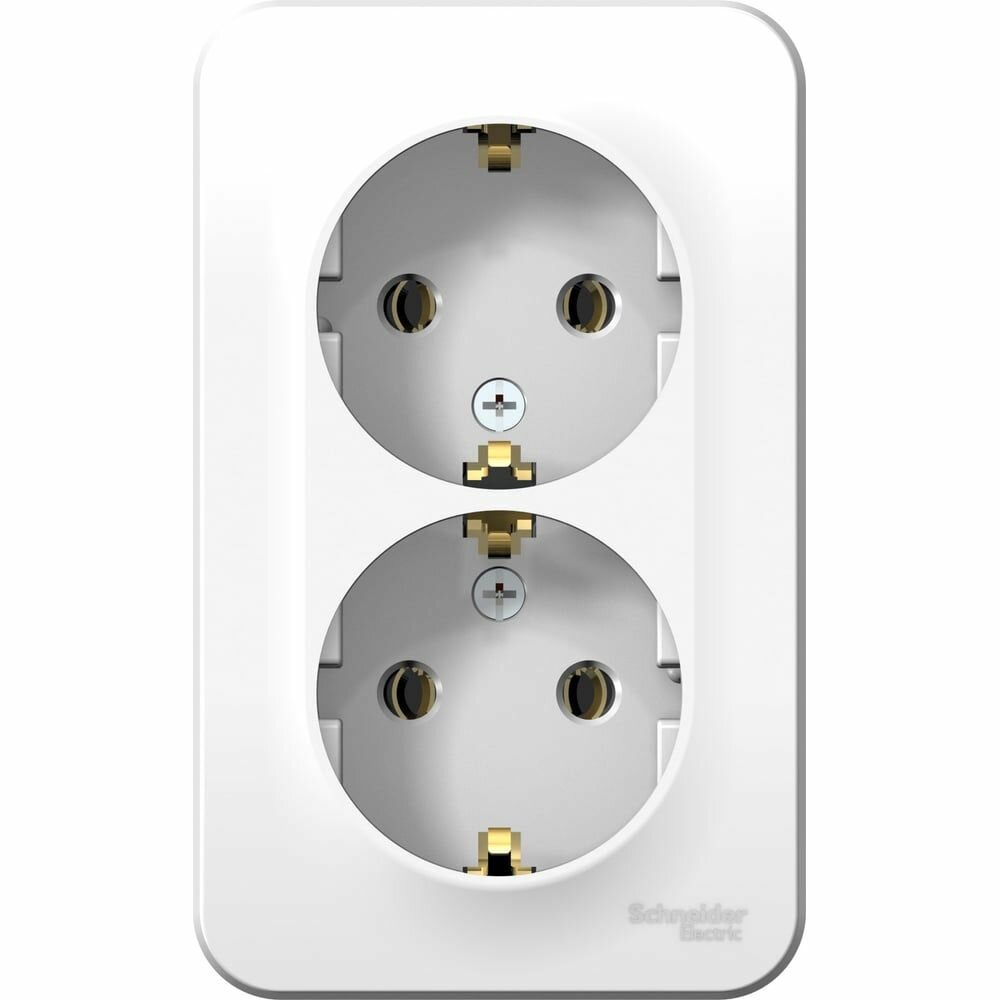 Розетка 2-м ОП Blanca 16А IP20 250В с заземл. без защ. шторок с изолир. пластиной бел. SE BLNRA010211