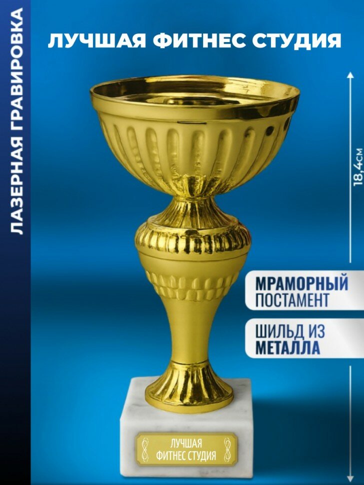 Кубок "Лучшая фитнес студия"