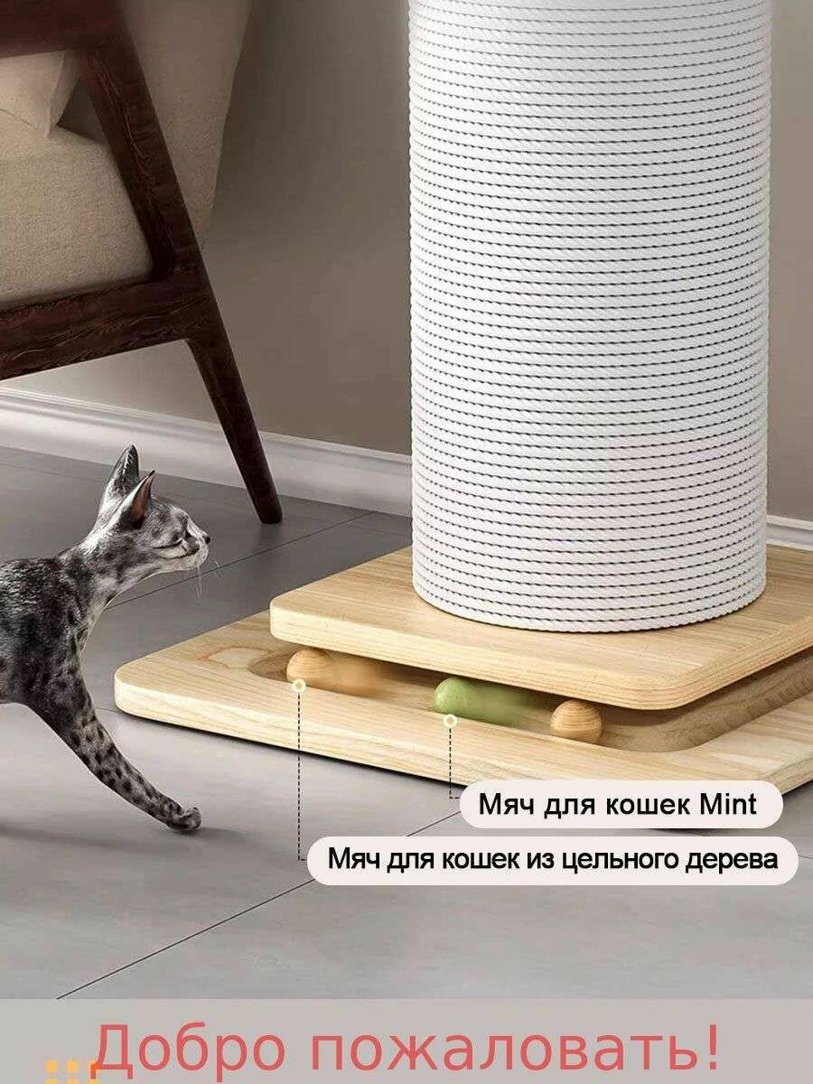 Когтеточка — фото 1