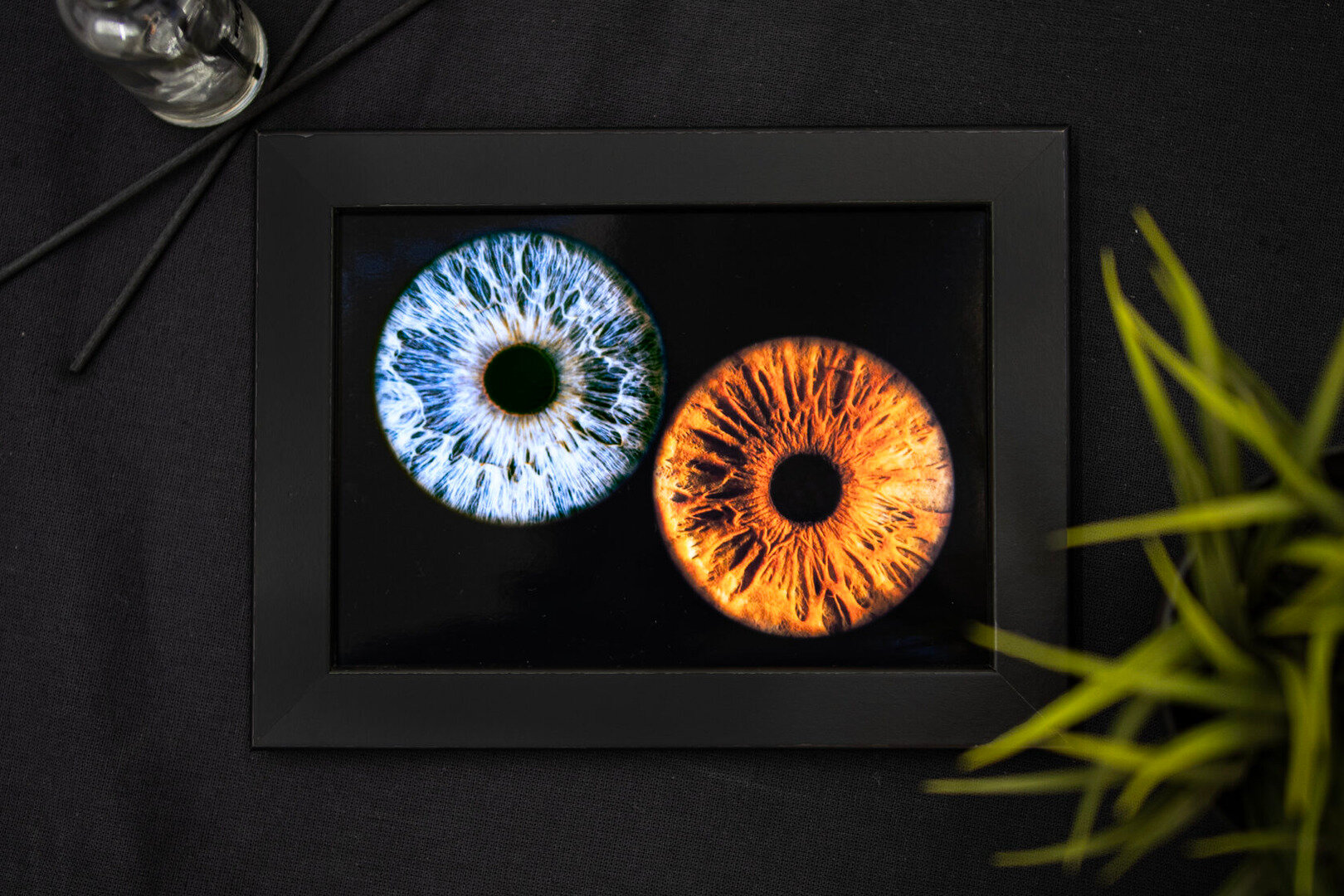 Подарочный сертификат «Парное фото радужки глаза» (1 сеанс, 2 человека)