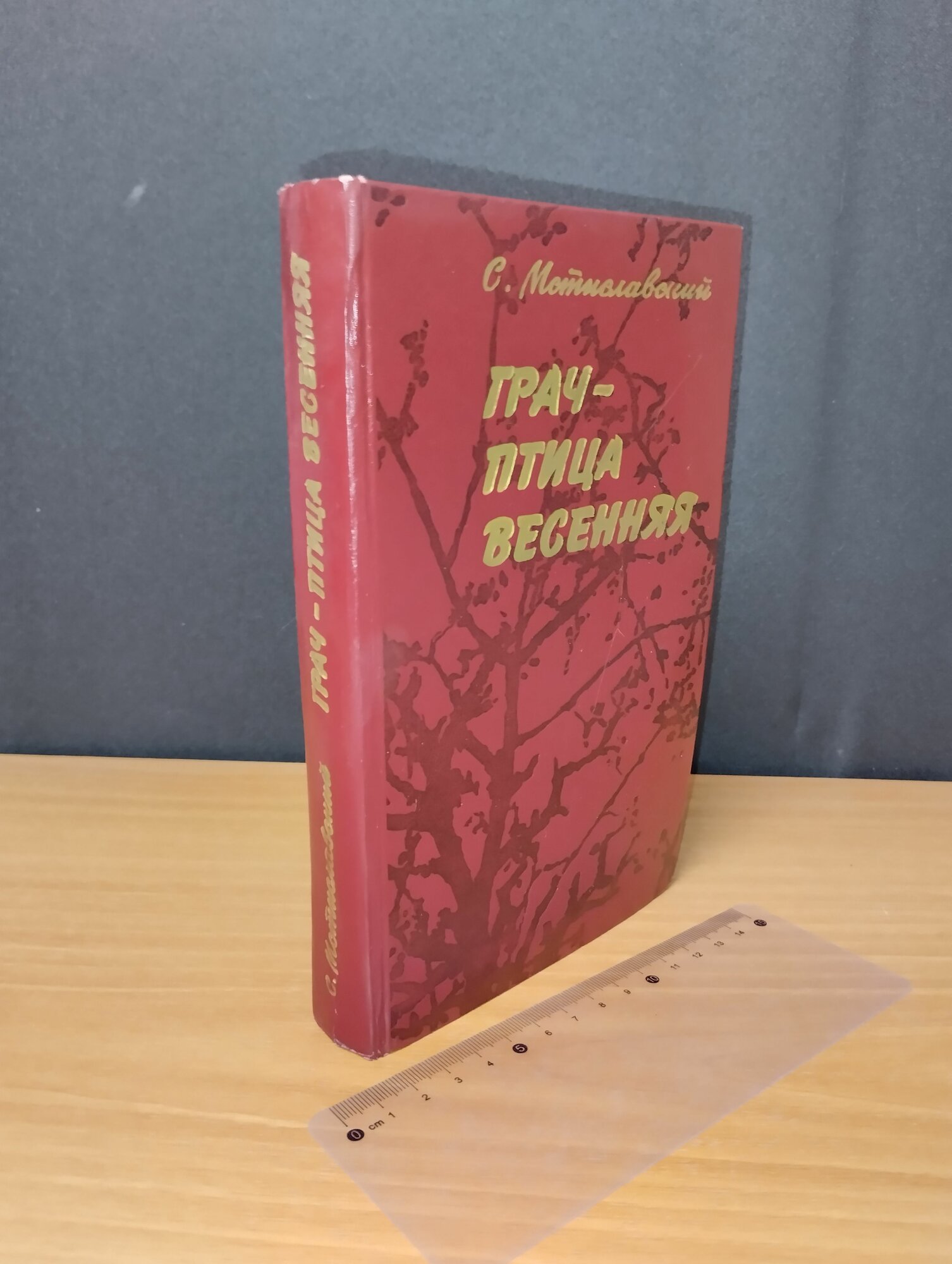 Грач - птица весенняя. Мстиславский Сергей Дмитриевич. 1977