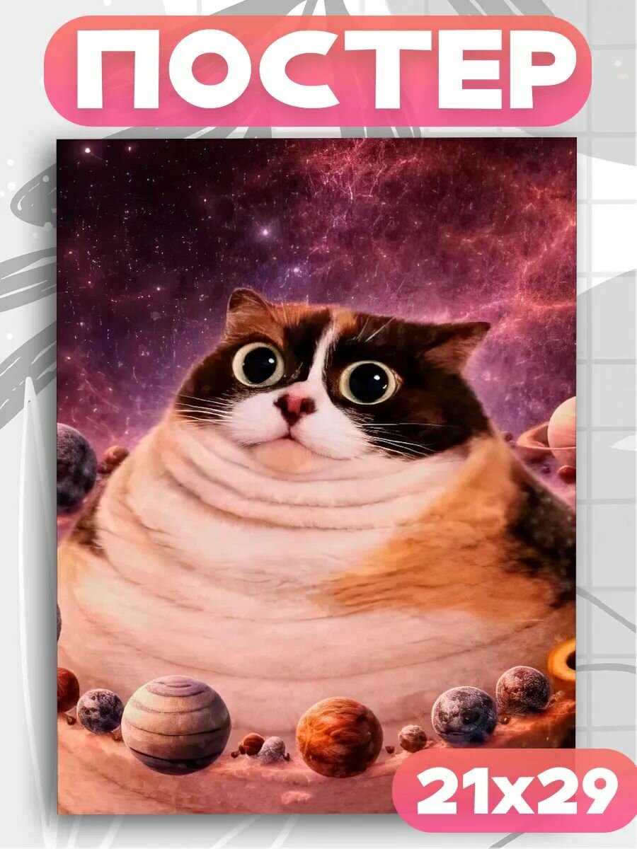 Постеры на стену Котость мем Куки кот , плакат 1шт, А4 размер.
