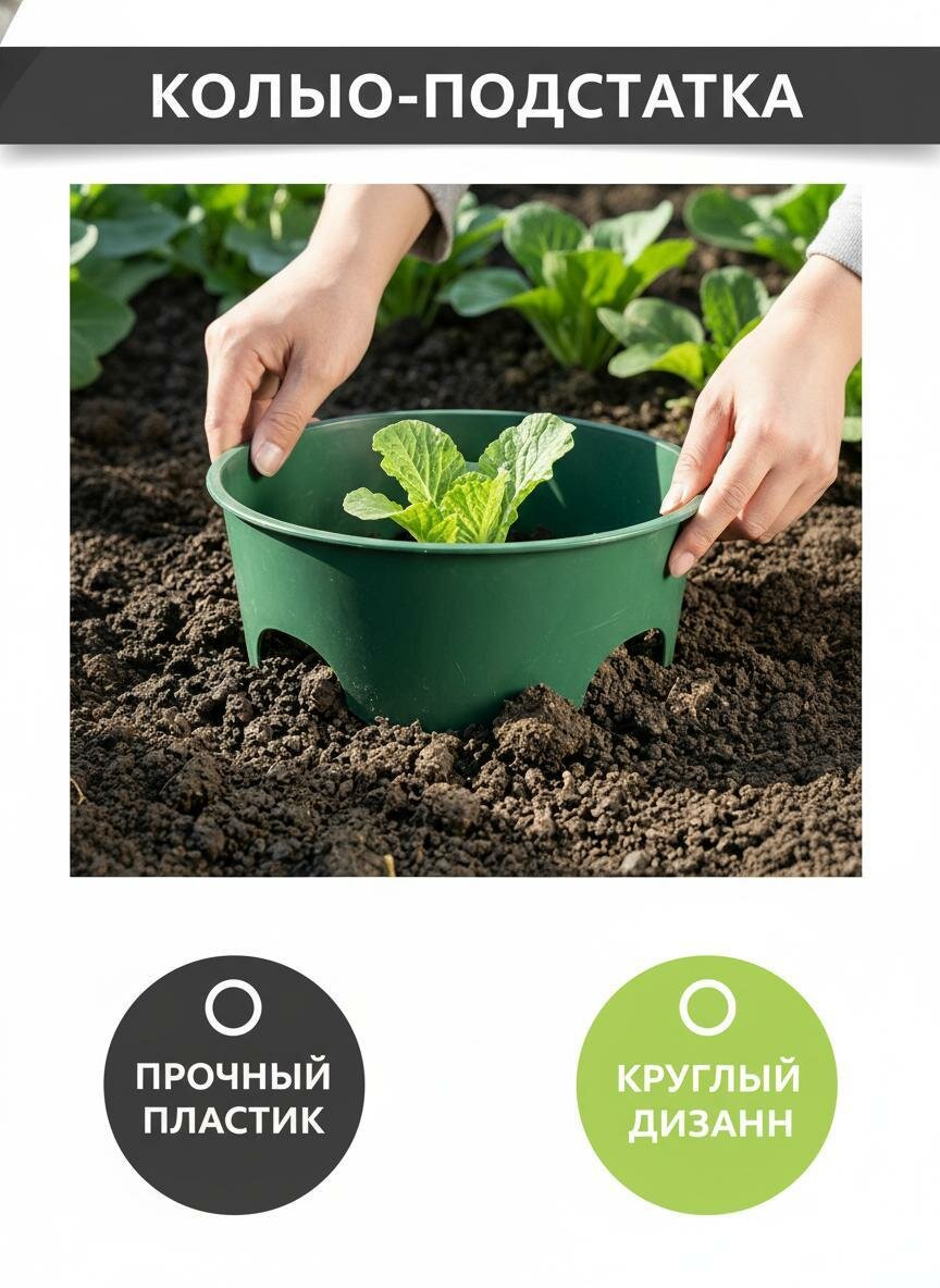 Зеленое кольцо для посадки овощей
