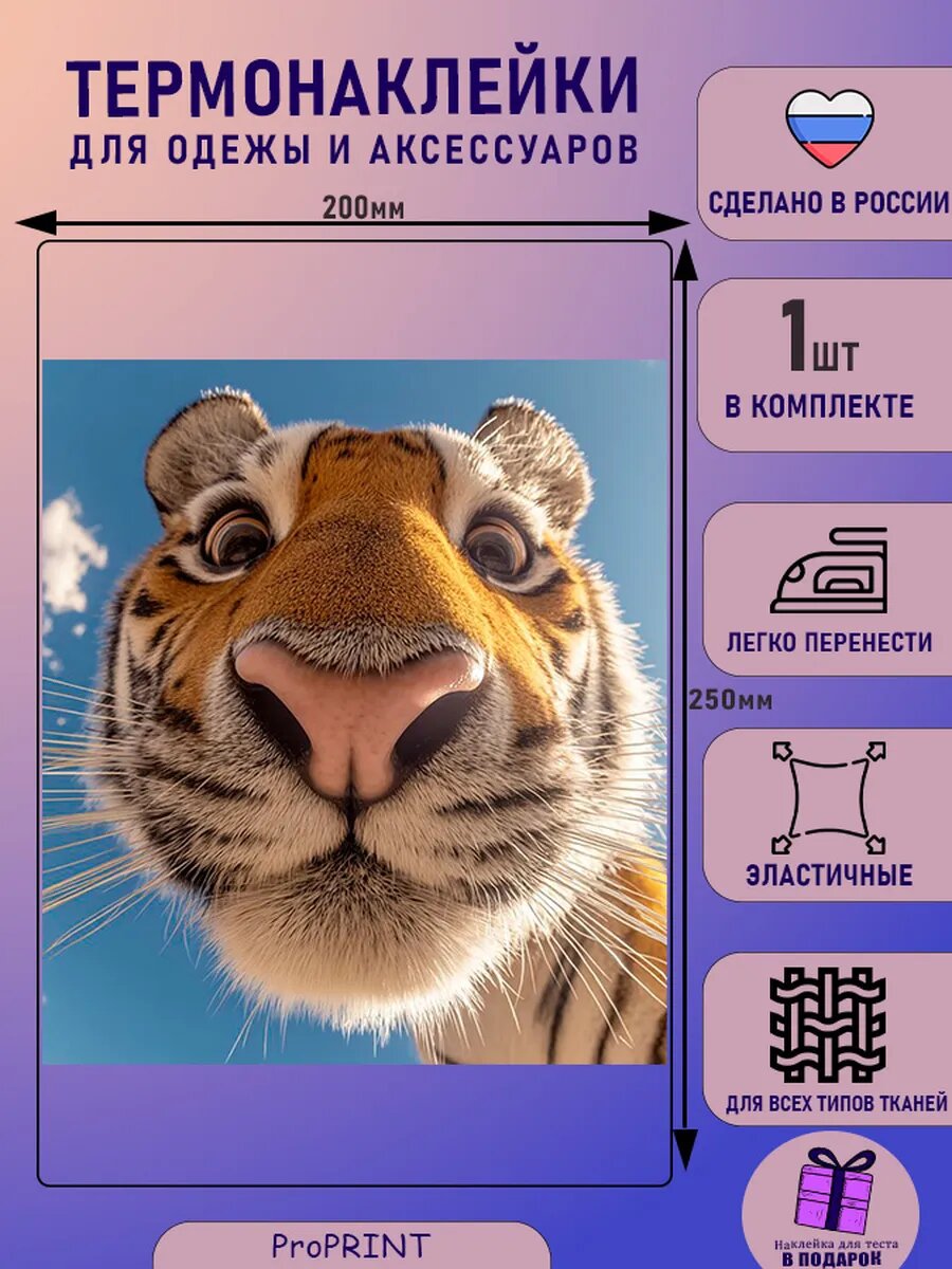 Термонаклейка на одежду взрослая