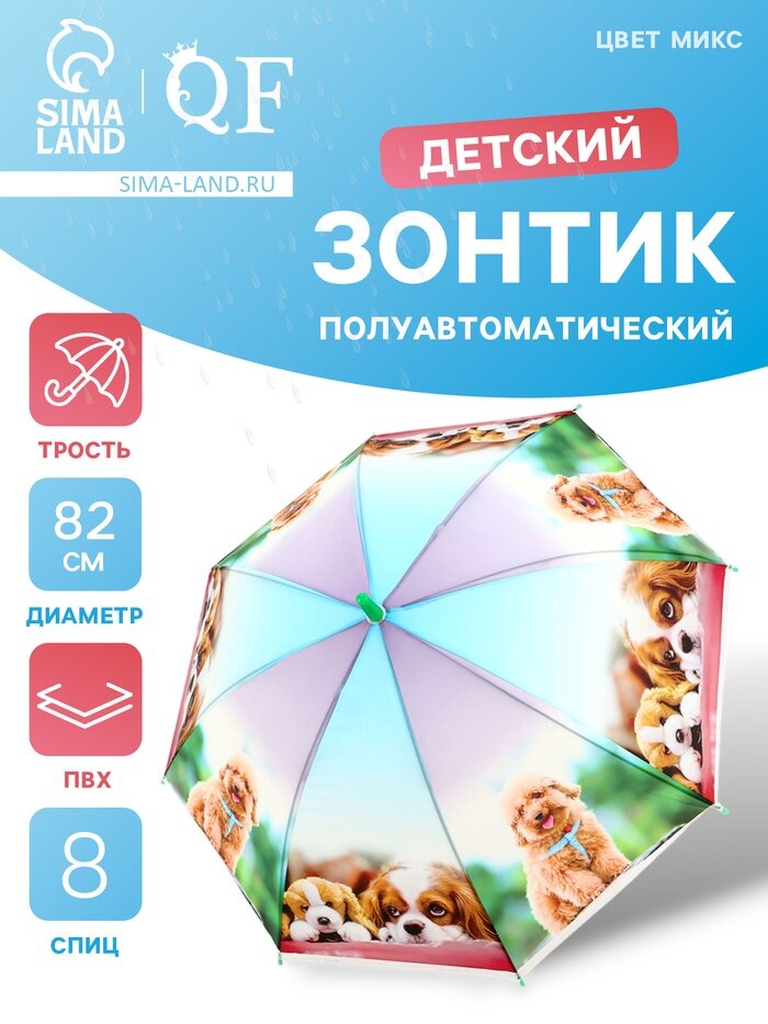 Зонт