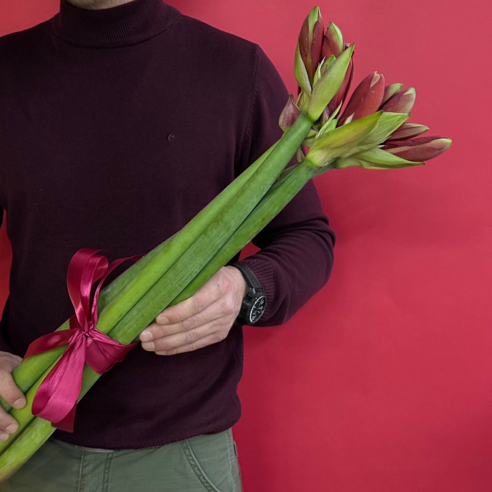 Букет 5 амариллисов