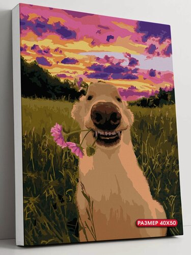 Изображение товара Картина по номерам ArtLove "Собака", 40x50 см, акриловые краски, холст